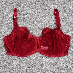 Whimsy Embroidered Red Underwire Bra 40DD‎ Lace Sheer Supportive Bundle